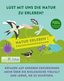 Unser Exkursionsprogramm für 2026 ist veröffentlicht! Dank der großzügigen Förderung der Heimatstiftung der @kreissparkasseravensburg ist es uns möglich die Veranstaltungen kostenlos anbieten zu können.

Teilnahme nur mit verbindlicher Anmeldung möglich. Link in Bio unter Veranstaltungen.

#allgäu #oberschwaben #landschaftserhaltungsverband #natuRVielfalt #biodiversitätsstrategie #biodiversität #ravensburg #exkursion