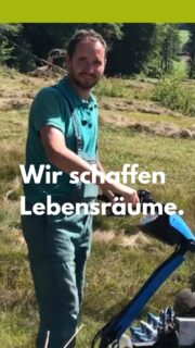 WIR schaffen LEBENSRÄUME! 🌿

Landschaftspflege bedeutet manchmal: anpacken, mähen, zusammenrechen und Mähgut abführen. Denn nur durch die regelmäßige Pflege bleiben wertvolle, offene Lebensräume erhalten.

Unser Landschaftspfleger Peter Zängerle zeigt, wie wichtig dabei auch die Arbeit mit dem Bandrechen ist: Das Mähgut wird zum Trocknen in Schwaden gelegt und anschließend von der Fläche entfernt. So bleiben die nährstoffarmen Bedingungen im Hangquellmoor erhalten – und lichtliebende, seltene Arten wie Sumpf-Herzblatt, Teufelsabbiss, Weidenblättriger Alant und Schwalbenwurz-Enzian finden weiterhin ihren Lebensraum.

Peter schafft LEBENSRÄUME – jeden Tag, direkt vor Ort.

#WIRschaffenLebensräume #Landschaftserhaltungsverband #LEV #LEVFamilie #LEVBaWü #BadenWürttemberg #Landschaftspflege #Naturschutz #Biodiversität #Artenvielfalt #Lebensräume #Vertragsnaturschutz #Landwirtschaft #Moorfrosch #RundblättrigerSonnentau #Landschaftspflegeverbände #NaturvielfaltRavensburg