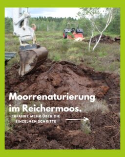 💧 Moorvernässung im Reichermoos 🌿

Durch die Anhebung des Wasserstandes soll im Gebiet langfristig ein Torfmooswachstum angeregt werden. Vitale Torfmoose und Moore speichern die ca. 5-fache Menge an Kohlenstoff im Vergleich zu Wäldern und tragen so einen wichtigen Beitrag zum Klimaschutz bei.
Auf den nächsten Slides zeigen wir euch wie genau wir das gemacht haben!

Der Zweckverband „Moorgewinnung Reicher Moos“ setzte die Rekultivierungsmaßnahmen im Reichermoos um. Der Landschaftserhaltungsverband Ravensburg begleitete die Umsetzungsmaßnahme hierbei fachlich.

#LEV #Landschaftserhaltungsverband #Ravensburg #Reichermoos #Moor #Moorvernässung #Moorschutz #Klimaschutz #Biodiversität #Naturschutz #Oberschwaben #Lebensräume #Artenvielfalt #uws