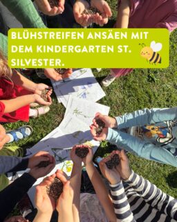 Letzten Dienstag haben wir mit dem Kindergarten St. Silvester in Tautenhofen einen Blühstreifen eingesät. Davor haben wir den Kindern erklärt welche Blumen dort nächstes Jahr vermutlich wachsen.
Wir sind schon gespannt auf nächstes Frühjahr!🌺🐝🐞

#biodiversität #biodiversity #umweltbildungfürkinder #wirschaffenlebensräume #landkreisravensburg #landschaftserhaltungsverband